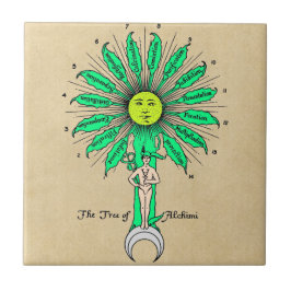Azulejo De Cerâmica Árvore de Hermes da alquimia