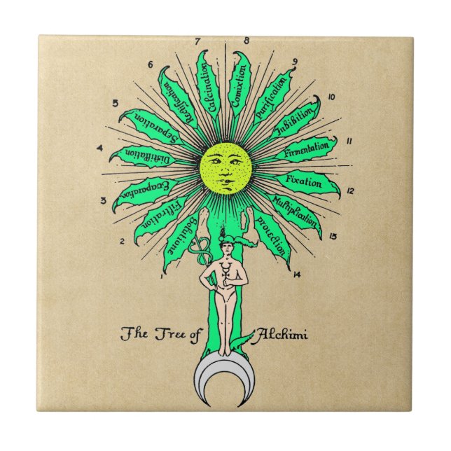 Azulejo De Cerâmica Árvore de Hermes da alquimia (Frente)