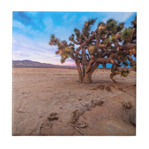 Azulejo De Cerâmica Árvore de Joshua do Mojave