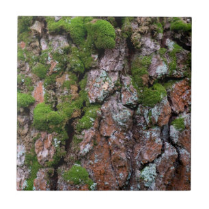 Azulejo De Cerâmica Árvore de latido