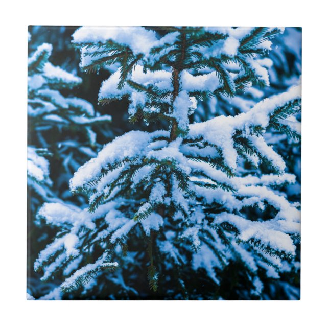 Azulejo De Cerâmica Árvore de Natal de Inverno (Frente)