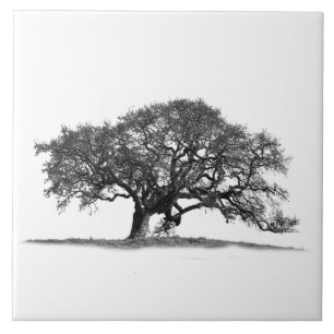 AZULEJO DE CERÂMICA ÁRVORE DE OAK EM SILHOUETTE