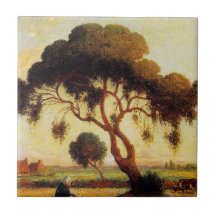 Árvore de Sombra