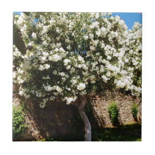 Azulejo De Cerâmica Árvore do jasmim