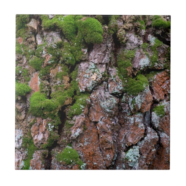 Azulejo De Cerâmica árvore latido (Frente)