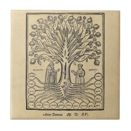 Azulejo De Cerâmica Árvore medieval das ciências