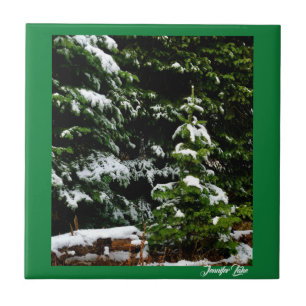 Azulejo De Cerâmica Árvore Solitária