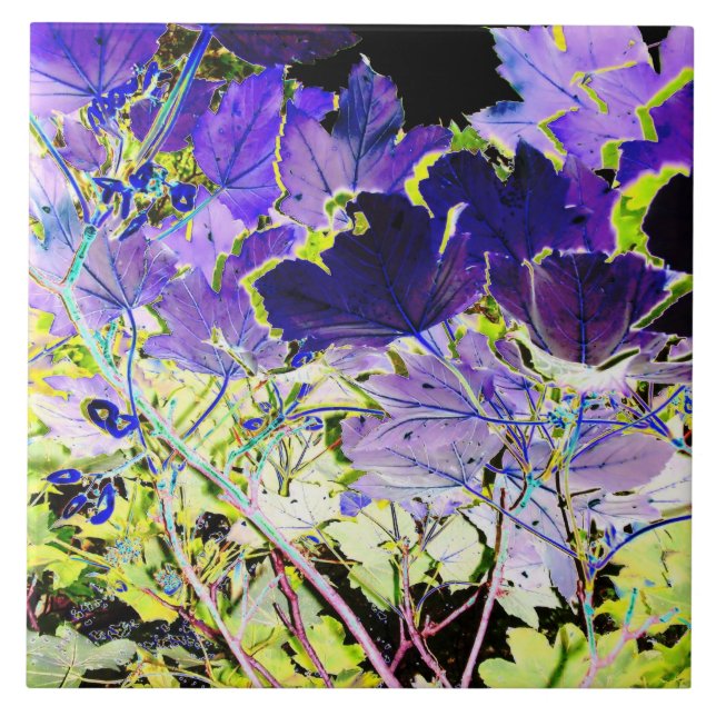 AZULEJO DE CERÂMICA  ÁRVORES (Frente)