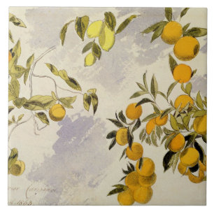 Azulejo De Cerâmica Árvores alaranjadas, 1863 (w/c, caneta e tinta
