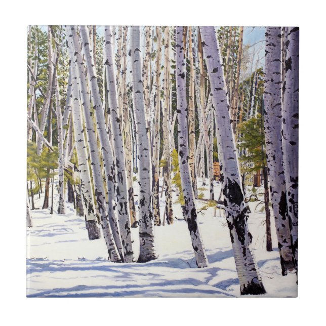 Azulejo De Cerâmica Árvores de Aspen na Floresta (Frente)