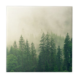 Azulejo De Cerâmica Árvores de Inverno da Floresta Nebulosa