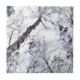 Azulejo De Cerâmica Árvores de Neve de Inverno Floresta 1