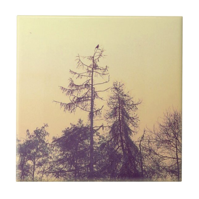 Azulejo De Cerâmica Árvores e um Pássaro (Frente)