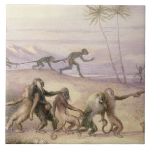 Azulejo De Cerâmica As maneiras e os costumes dos macacos
