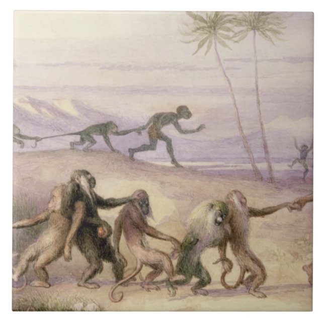 Azulejo De Cerâmica As maneiras e os costumes dos macacos (Frente)