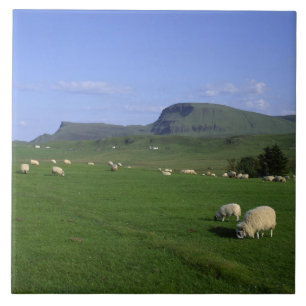 Azulejo De Cerâmica As montanhas Quiraing, Ilha de Skye, Highlands,