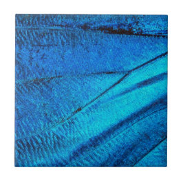 Azulejo De Cerâmica Asa de Borboleta Azul Iridescente