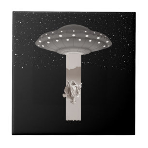 Azulejo De Cerâmica Ascenda-Me, Escooty