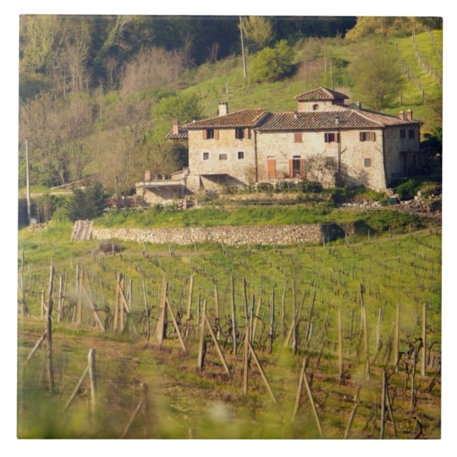 Azulejo De Cerâmica Aschuito, uma fazenda que aceita convidados. (Frente)