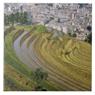 Azulejo De Cerâmica Ásia, China, Província de Yunnan, Jinping. Jinpi