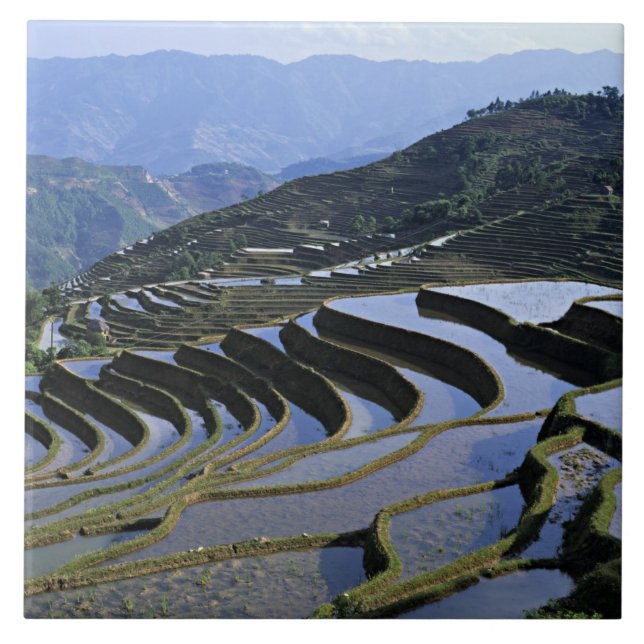 Azulejo De Cerâmica Ásia, China, Yunnan, Yuanyang. Dissipado (Frente)