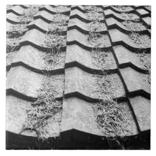 Azulejo De Cerâmica Ásia, Japão, Miyajima. Detalhes do telhado de ar