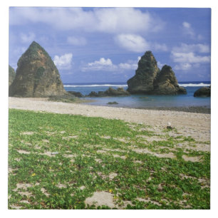 Azulejo De Cerâmica Ásia, Japão, Okinawa, Costa de Yambaru, Mar