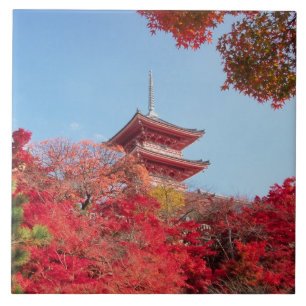 Azulejo De Cerâmica Ásia, Japão, Quioto. Cor do outono