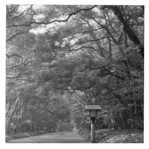 Azulejo De Cerâmica Ásia, Japão, Tóquio, Motivos do Santuário Meij