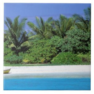 Azulejo De Cerâmica Ásia, Maldivas. Atol do Norte