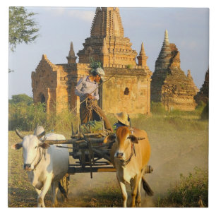 Azulejo De Cerâmica Ásia, Myanmar (Birmânia), Bagan (Pagan). Uma carro