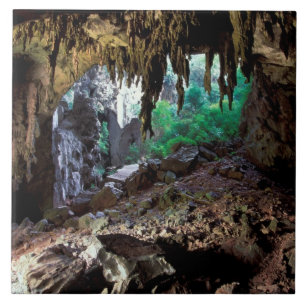 Azulejo De Cerâmica Ásia, Tailândia, Parque Nacional Baía de Phangnga