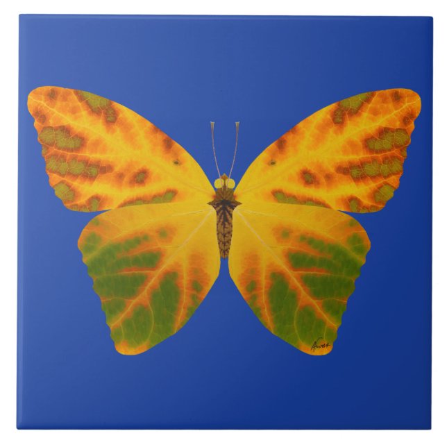 Azulejo De Cerâmica Aspen Leaf Butterfly 1 (Frente)
