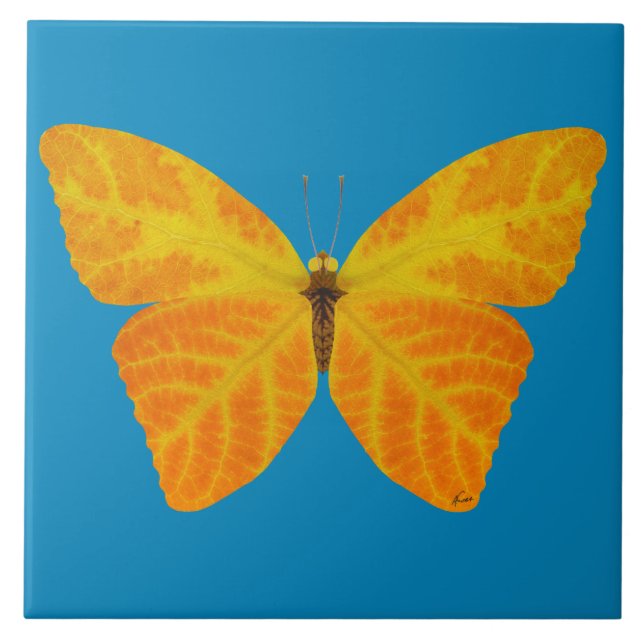 Azulejo De Cerâmica Aspen Leaf Butterfly 3 (Frente)