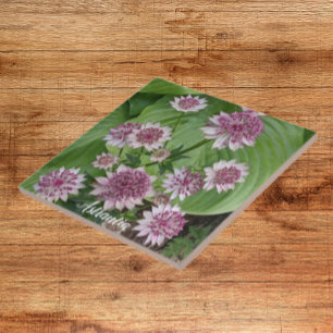 Azulejo De Cerâmica Astrantia Rosa Blooms Floral