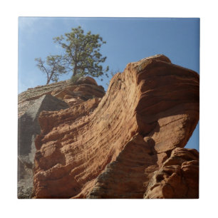 Azulejo De Cerâmica Até Angels Landing no Parque Nacional de Zion