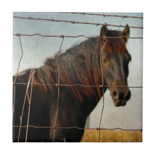Azulejo De Cerâmica Atrás da cerca, cavalo abstrato