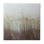 Azulejo De Cerâmica Através das Dunas II<br><div class="desc">Home Décor</div>