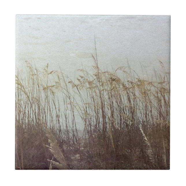 Azulejo De Cerâmica Através das Dunas II (Frente)