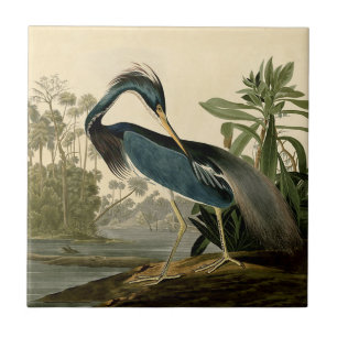 Azulejo De Cerâmica Audubon Louisiana Heron Birds América Art
