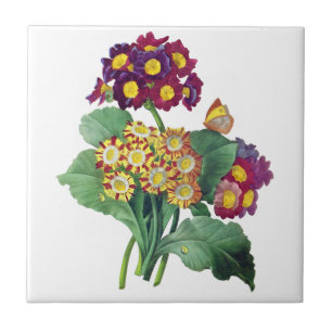 Azulejo De Cerâmica Aurícula do Primula - Cowslip- Pierre Joseph