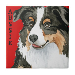 Azulejo De Cerâmica Aussie Color Block