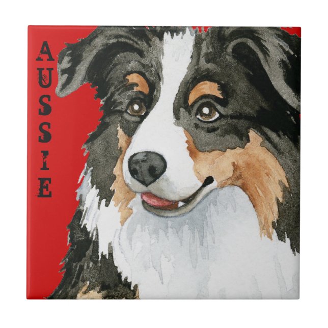 Azulejo De Cerâmica Aussie Color Block (Frente)