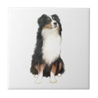 Azulejo De Cerâmica Australian Shepherd (A) - Três Cores