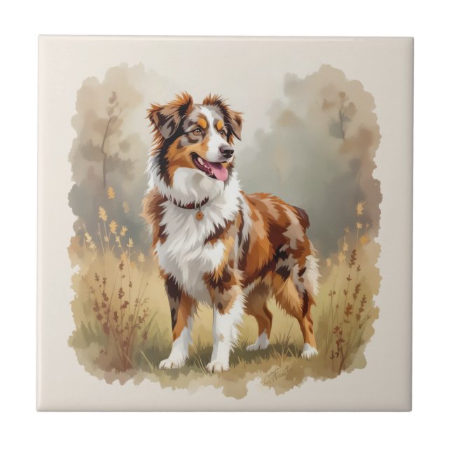 Azulejo De Cerâmica Australian Shepherd Dog Red Merle Aussie (Frente)