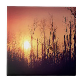 Azulejo De Cerâmica Autumn Sun