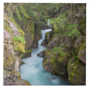 Azulejo De Cerâmica Avalanche Creek, Glacier National Park, Montana