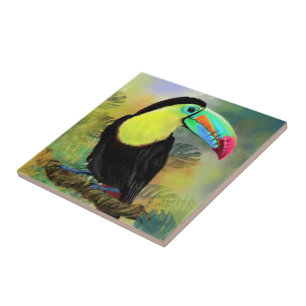 Azulejo De Cerâmica Ave Tropical Toco Toucan Exótica - Pintura Migrad