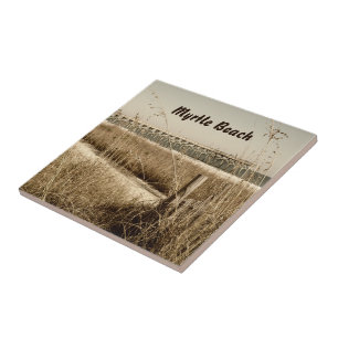 Azulejo De Cerâmica Aveia do mar nas dunas em Myrtle Beach