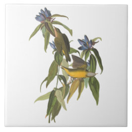 Azulejo De Cerâmica Aves de John James Audubon